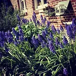 別荘 Col Du Fatten *