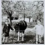 Col Du Fatten 別荘 *