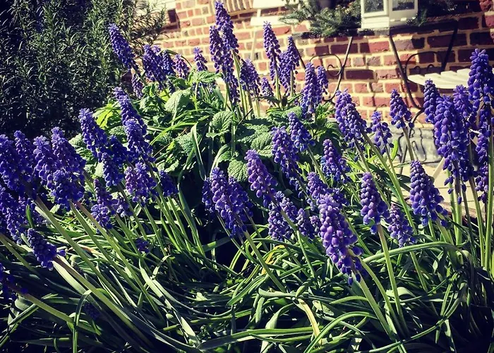 Holiday home Col Du Fatten *