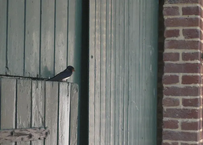 Col Du Fatten * بيك